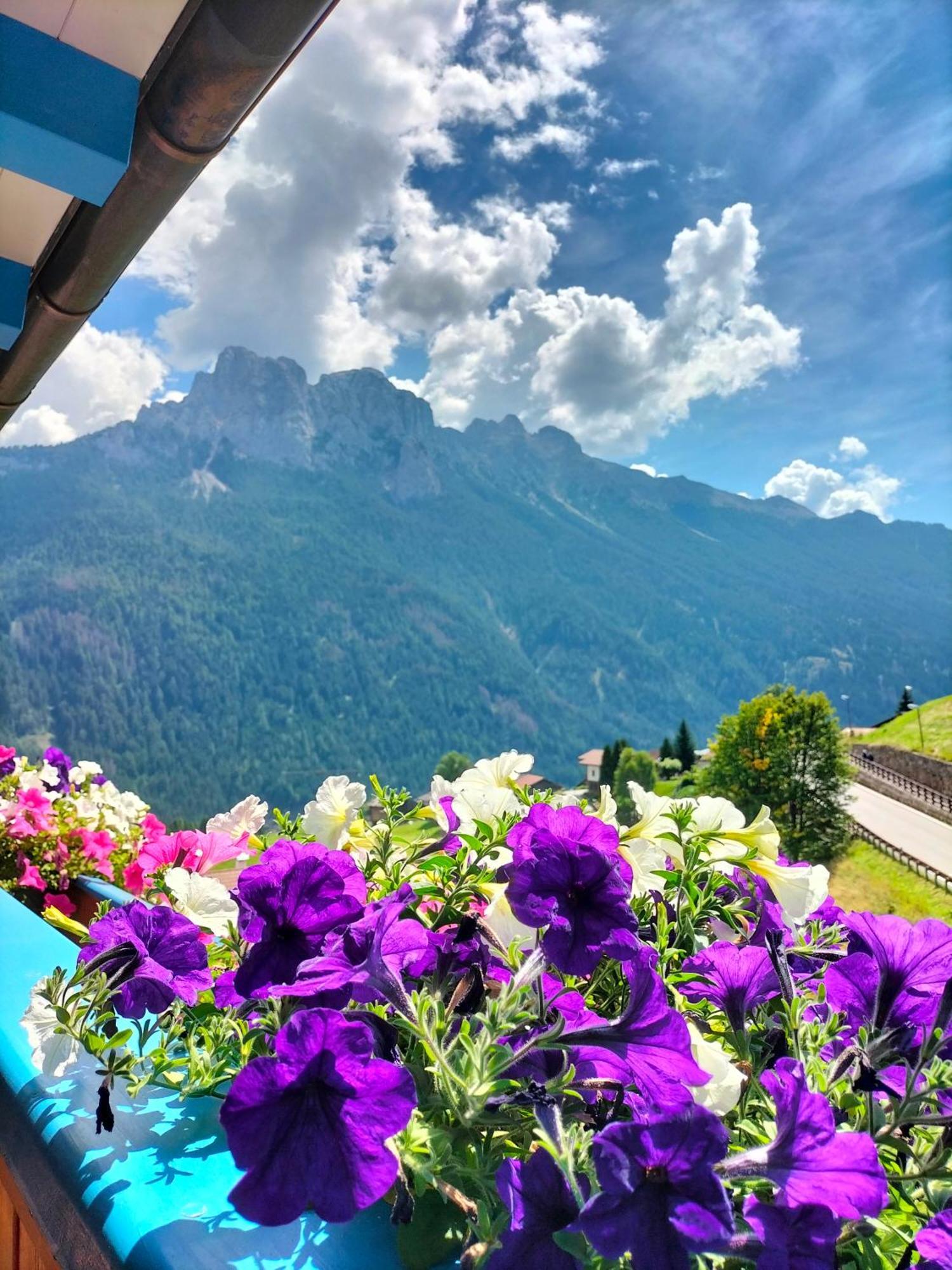 Hotel Vael ヴィーゴ・ディ・ファッサ エクステリア 写真
